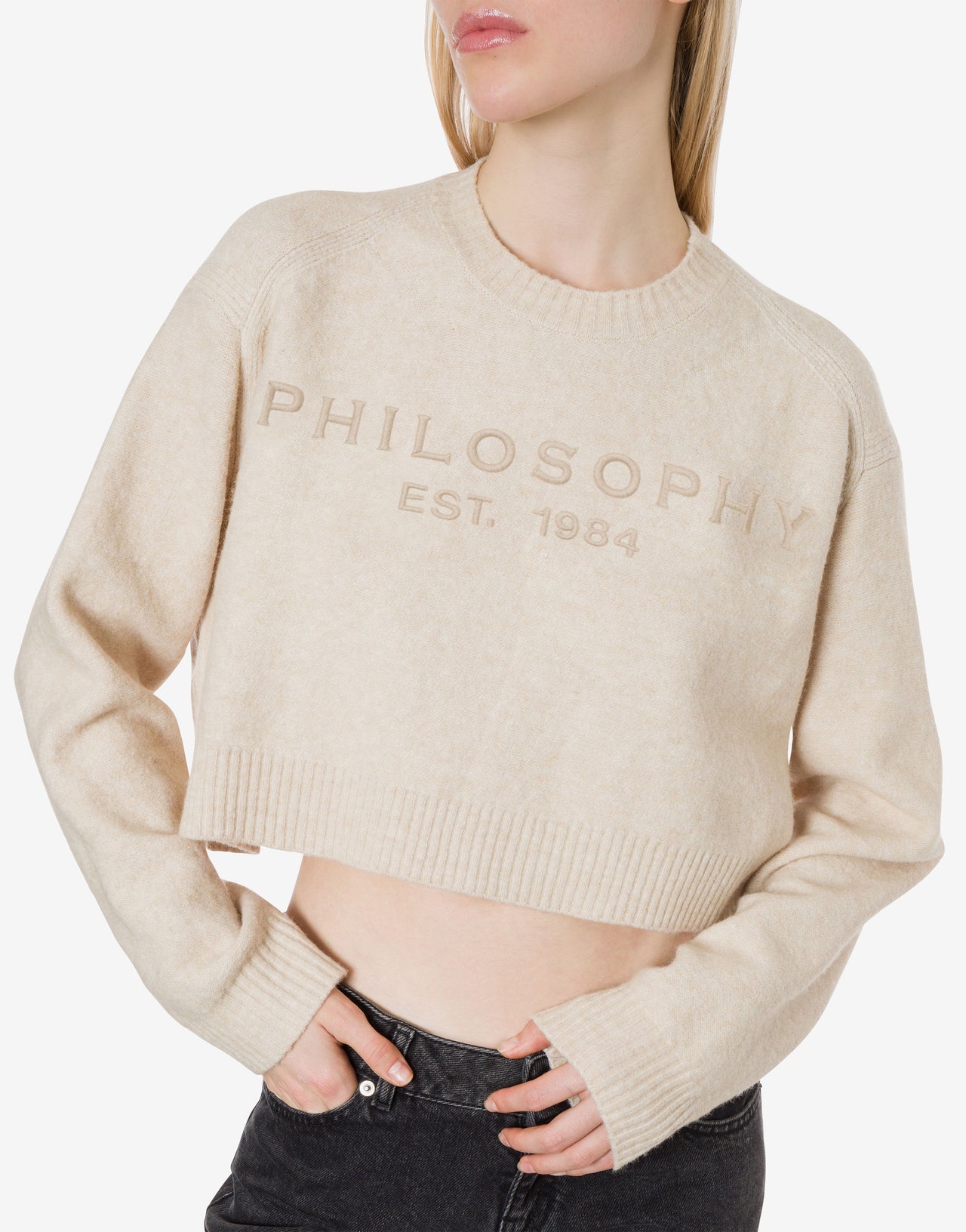 Wool blend cropped jumper with embroidery